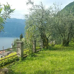Gli Ulivi Di Ferienhaus